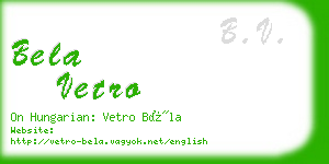 bela vetro business card